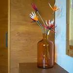 Appartamento Edelweiss 4 Sterne O-plus